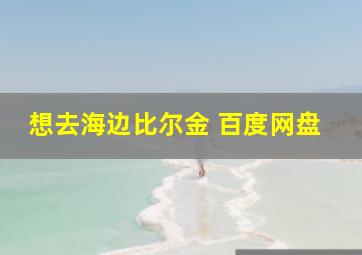 想去海边比尔金 百度网盘